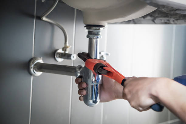 Best Clogged Drain Plumber  in Bolindale, OH